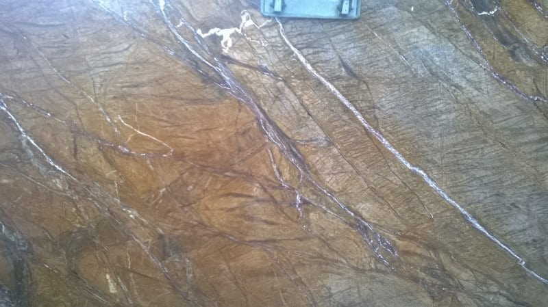 Forest Brown